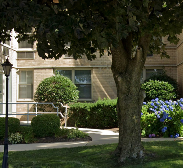 The image depicts a tree with lush green leaves next to a building with brick facades and large windows.